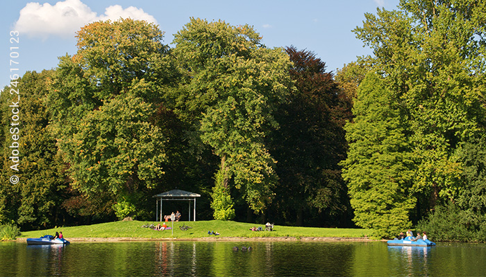 Fredenbaumpark mit Büumen und See. Auf dem See fehren Tretboote